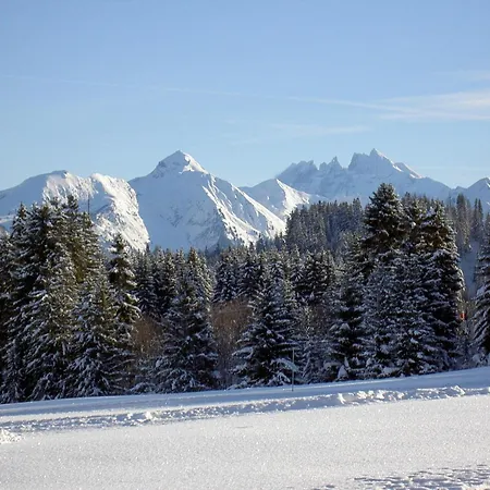 24m² Pour 4 Pers, Au Coeur Du Praz De Lys, Proche Pistes Et Commerces - Fr-1-815-15 Apartman *